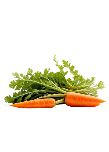 rapini,crudités,gremolata,carrot salad,fresh vegetables,carrots,snack vegetables,mirepoix,vegetables,vegetable,crate of vegetables,patrol,veggies,arugula,shrub celery,parsley,carrot,veggie,frozen vegetables,vegetable pan,Illustration,American Style,American Style 02