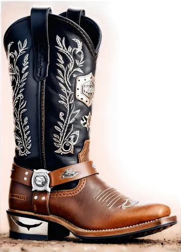 sendra,women's boots,cowboy boots,steel-toed boots,country style,lucchese,stetson,espuelas,roughstock,botas,vaqueros,texfoot,dubarry,cowboy bone,texan,mesquiteers,bootmaker,rodeos,bootmakers,wranglers,Unique,3D,Panoramic