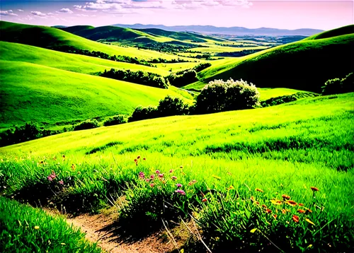 rolling hills,green landscape,the hills,hills,landscapes beautiful,landscape background,beautiful landscape,landscape nature,meadow landscape,nature landscape,northern california,aaa,green fields,hiking path,tuscany,background view nature,landscape photography,green meadow,grasslands,natural landscape,Photography,Black and white photography,Black and White Photography 08