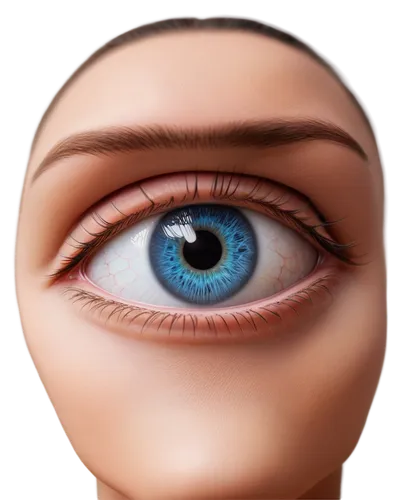 realdoll,3d model,doll's facial features,articulated manikin,ophthalmology,eyelid,reflex eye and ear,eye,women's eyes,eye ball,eye scan,tympanic membrane,contact lens,eye cancer,eyelash extensions,3d rendered,pupils,doll's head,3d modeling,doll head,Photography,General,Sci-Fi