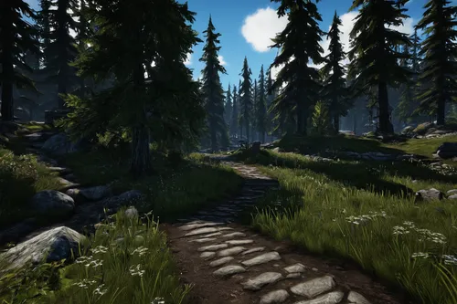 forest path,wooden path,hiking path,forest glade,elven forest,coniferous forest,spruce forest,ravine,pathway,northwest forest,skyrim,alpine crossing,northrend,druid grove,forest road,spruce-fir forest,the mystical path,the path,fir forest,trail,Illustration,Realistic Fantasy,Realistic Fantasy 31