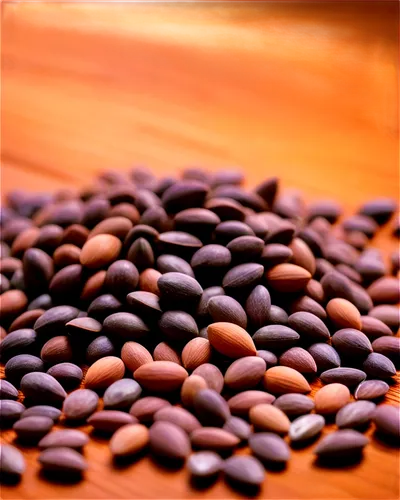 coffee grains,java beans,flax seed,cocoa beans,cowpea,linseed,coffee beans,roasted coffee beans,coffee seeds,legume,fregula,seeds,lentils,buckwheat,fenugreek,pine nut,kidney beans,mung bean,coriander,argan,Illustration,Japanese style,Japanese Style 03