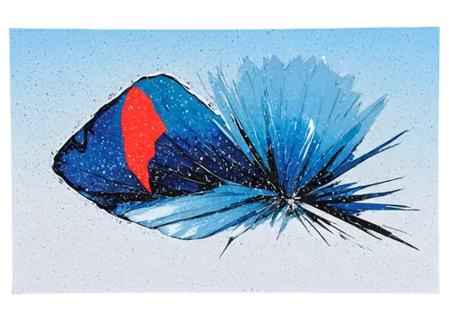 siamese fighting fish,betta splendens,birds blue cut glass,watercolour leaf,cornflower,parrot feathers,fighting fish,peacock feather,watercolor leaf,blue leaf frame,limenitis,blue peacock,red-blue,antarctic flora,crimson rosella,fused glass,flower and bird illustration,himilayan blue poppy,cornflowers,feather on water,Conceptual Art,Graffiti Art,Graffiti Art 06