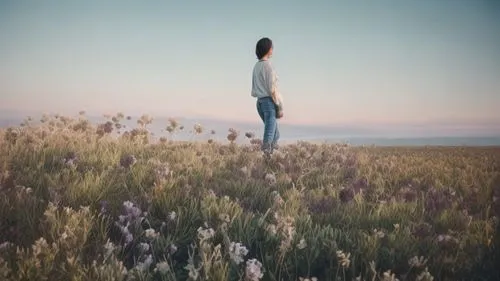 vintage lavender background,meadow in pastel,girl in flowers,girl in a long,landscape background,in the tall grass,flower background,to be alone,the lavender flower,field of flowers,meadow,lavender fi