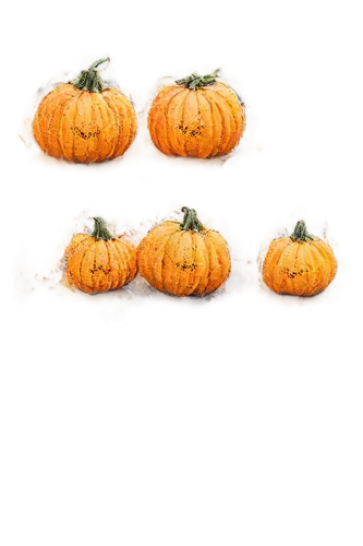 pumpkins,mini pumpkins,pumpkin soup,pumpkin heads,halloween background,pumpkin patch,decorative pumpkins,pumkins,autumn pumpkins,striped pumpkins,halloween border,cream of pumpkin soup,pumpsie,pumpkin autumn,calcium pools,halloween pumpkins,pumpkin spider,kirdyapkin,funny pumpkins,halloween borders,Conceptual Art,Oil color,Oil Color 05