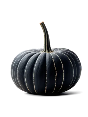 cucurbita,winter squash,gem squash,calabaza,acorn squash,cucurbit,cucuzza squash,scarlet gourd,decorative squashes,pointed gourd,figleaf gourd,striped pumpkins,gourd,hokkaido pumpkin,squash,bitter gourd,ornamental gourds,gourds,butternut squash,white pumpkin,Illustration,Paper based,Paper Based 14