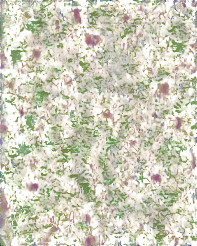 degenerative,biofilms,biofilm,kngwarreye,flowers png,generated,reionization,stereogram,seamless texture,enantiopure,deconvolution,monolayer,blotter,sphagnum,bilayer,spongiform,multicellular,tryptamine,topologist,cytokeratin,Unique,Paper Cuts,Paper Cuts 05