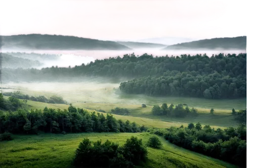 foggy landscape,ore mountains,carpathians,bavarian forest,northern black forest,fog banks,green landscape,landscape background,morning mist,bucovina,landscape photography,temperate coniferous forest,foggy mountain,meadow landscape,bieszczady,landscape nature,thuringia,mist,pieniny,foggy forest,Illustration,Realistic Fantasy,Realistic Fantasy 12