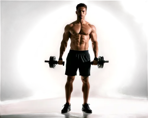 bodybuilding supplement,biceps curl,pair of dumbbells,kettlebells,dumbbells,kettlebell,circuit training,strength training,body building,personal trainer,overhead press,deadlift,workout equipment,dumbbell,workout items,bodybuilding,physical fitness,barbell,fitness coach,body-building,Illustration,Black and White,Black and White 33