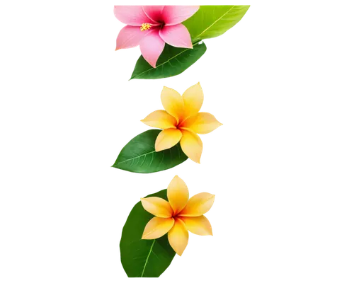 Hawaiian flowers, colorful, exotic, tropical, pink hibiscus, yellow plumeria, orange heliconia, green leaves, delicate petals, soft focus, warm lighting, shallow depth of field, 3/4 composition, trans