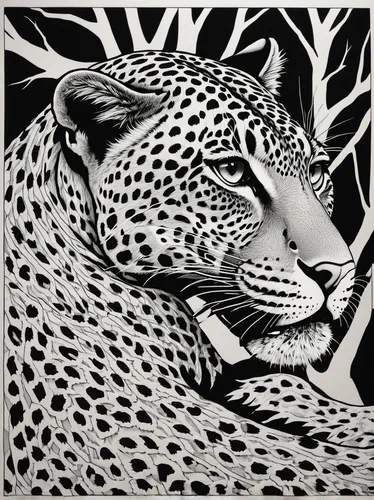 jaguar,leopard,cheetah,leopard head,ocelot,african leopard,hosana,geometrical animal,serigraphy,escher,fauna,endangered,cheetahs,animalia,dotted deer,pere davids deer,tangle,panther,line art animals,line art animal,Illustration,Black and White,Black and White 18