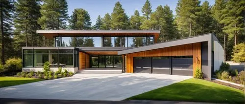 modern house,forest house,timber house,mid century house,bohlin,shawnigan,modern architecture,eichler,dunes house,cubic house,passivhaus,prefab,frame house,homebuilding,smart house,house in the forest,residential house,prefabricated,corten steel,wooden house,Illustration,Retro,Retro 23