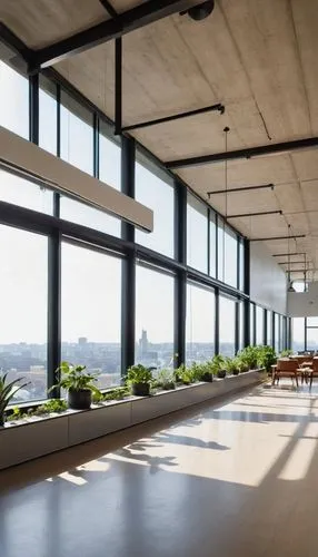 lingotto,daylighting,penthouses,the observation deck,roof garden,observation deck,loft,groundfloor,modern office,autostadt wolfsburg,block balcony,cantilevered,roof terrace,ideacentre,associati,gensler,concrete ceiling,skydeck,chipperfield,terrace,Conceptual Art,Oil color,Oil Color 15