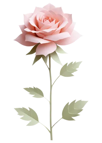 rose png,rose flower illustration,paper flower background,flower wallpaper,flower background,flowers png,pink carnation,pink rose,rose flower,landscape rose,pink flower,flower rose,pink floral background,romantic rose,carnation flower,rose plant,flower pink,pink flower white,floral digital background,carnation of india,Unique,Paper Cuts,Paper Cuts 03