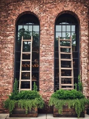 window frames,wooden windows,row of windows,old windows,ladders,lattice windows,wooden ladder,lofts,hook and ladder,trellises,brickyards,hanging plants,french windows,window panes,hanging geraniums,encasements,window with shutters,fenestration,lattice window,windowpanes,Illustration,Vector,Vector 21