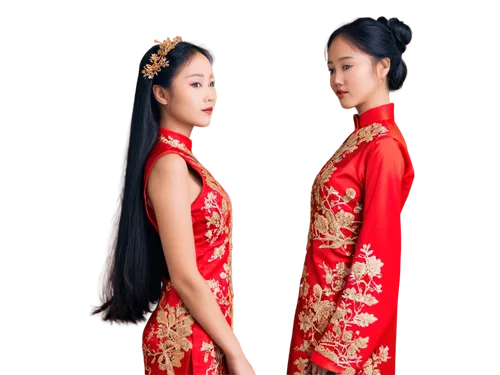 cheongsam,qipao,oriental princess,asian costume,hanfu,oriental girl,jinling,ao dai,asiaticas,sichuanese,oriental,asian culture,empresses,zilin,confucians,suqian,daiyu,geishas,wulin,khamti,Illustration,Vector,Vector 09