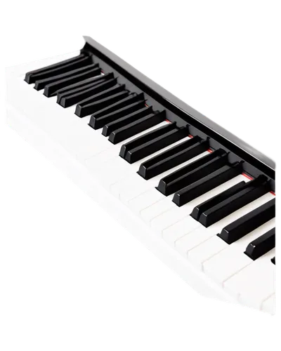 clavinet,piano keyboard,lopiano,keyboard instrument,carpianum,mellotron,midi keyboard,piano,pianola,electronic keyboard,melodica,play piano,simpfendorfer,grand piano,pianoforte,farfisa,pianistic,disklavier,tropiano,pianura,Illustration,Paper based,Paper Based 05