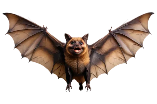 Brown bat, wings spread wide, flying pose, nocturnal, detailed fur texture, glowing eyes, sharp fangs, dark cave background, soft misty atmosphere, cinematic lighting, 3/4 composition, shallow depth o