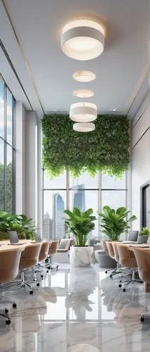 intensely green hornbeam wallpaper,planta,modern decor,modern office,landscape designers sydney,green plants,greentech,conference room,search interior solutions,interior decoration,blur office background,contemporary decor,ficus,interior modern design,envirocare,hanging plants,ecotech,meeting room,landscaped,ecological sustainable development,Unique,3D,3D Character