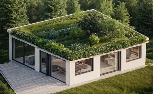 grass roof,cubic house,greenhut,cube house,frame house,inverted cottage,Photography,General,Natural