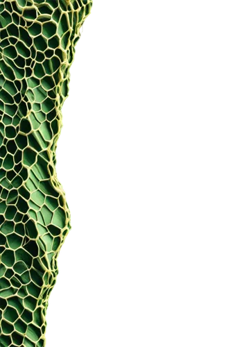 Honeycomb pattern camouflage, military clothing, green and brown colors, 3D texture, fabric material, worn and faded effect, wrinkled surface, detailed threads, close-up shot, soft focus, natural ligh