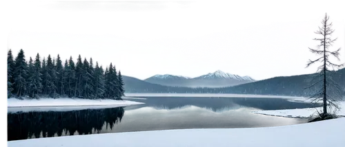 winter background,maligne lake,winter lake,revelstoke,spruce forest,boreal,snowy landscape,spruce trees,glacial lake,snow landscape,tongass,nature background,coniferous forest,winter landscape,landscape background,christmas snowy background,winter forest,valemount,cheakamus,emerald lake,Illustration,Realistic Fantasy,Realistic Fantasy 28