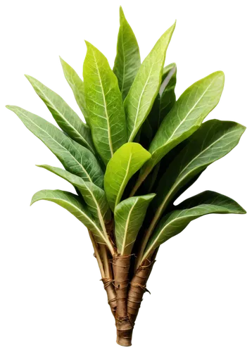 Mountain Yam, Japanese mountain vegetable, brown skin, green stem, leafy greens, rough texture, natural setting, close-up shot, shallow depth of field, warm color tone, soft lighting, 3/4 composition,