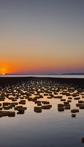 Compose a poetic description of a sunset, inspired by the taste of gubbeen cheese.,the wadden sea,salt pans,wadden sea,salt field,salt pan,salt-flats,stacked rocks,tetrapods,salt extraction,stacked st