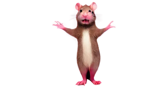 jerboa,rat,ratwatte,rattiszell,rodentia,ratico,color rat,solenodon,tikus,ratliffe,ratsirahonana,ratsiraka,ratshitanga,ratatat,rattazzi,ratchasima,ratterman,mpika,palmice,mouse bacon,Art,Artistic Painting,Artistic Painting 30