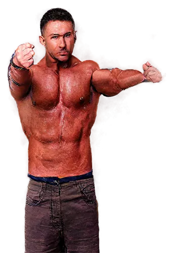 kazarian,batista,mizanin,edge muscle,pudzianowski,klitschko,khiladi,pec,ankvab,kushti,rogan,miz,bonnar,nusret,orton,heidenreich,ghajini,khali,brock,mantegazza,Art,Classical Oil Painting,Classical Oil Painting 33