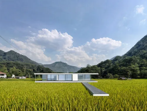 grass roof,ricefield,the rice field,rice field,cube stilt houses,mirror house,rice paddies,rice fields,yamada's rice fields,cubic house,roof landscape,paddy field,eco hotel,japanese architecture,cube 