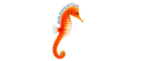 garridos,flaming torch,dragonfish,gopendra,garrisoned,garriott,garrison,draconic,firespin,wurm,flammer,flammea,polychaete,firedancer,bloodworm,micropholis,salamandre,rod of asclepius,flame spirit,salamander,Art,Artistic Painting,Artistic Painting 33