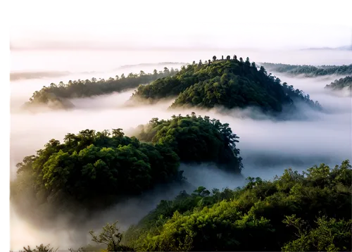 foggy landscape,foggy mountain,fog banks,sea of fog,mists,foggy forest,mists over prismatic,morning mist,wave of fog,veil fog,high fog,morning fog,ground fog,mist,fog,dense fog,world digital painting,sea of clouds,landscape background,north american fog,Illustration,American Style,American Style 14