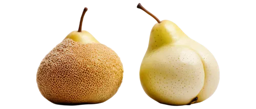 pear cognition,pears,sapodilla,pear,rock pear,apple pair,capsule fruits,poire,fragrans,seedpod,seeds,indian almond,fruits,cardamon pods,seedpods,fruit,kiwi lemons,fig,pods,ventricosa,Photography,Documentary Photography,Documentary Photography 12