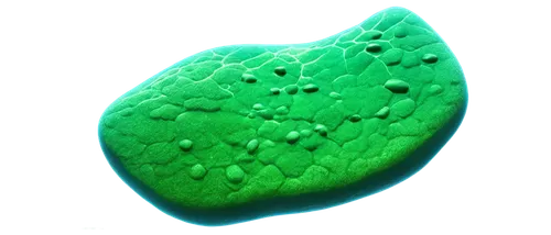 3D, microscopic, plant cell, solo, nucleus, cell membrane, cytoplasm, chloroplasts, mitochondria, vacuoles, Golgi apparatus, lysosomes, ribosomes, endoplasmic reticulum, cell wall, transparent backgro