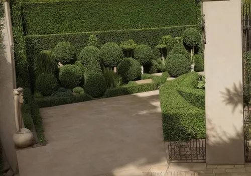 landscape designers sydney,landscape design sydney,garden design sydney,garden elevation,intensely green hornbeam wallpaper,ornamental dividers,gardens,ornamental shrubs,garden fence,climbing garden,p