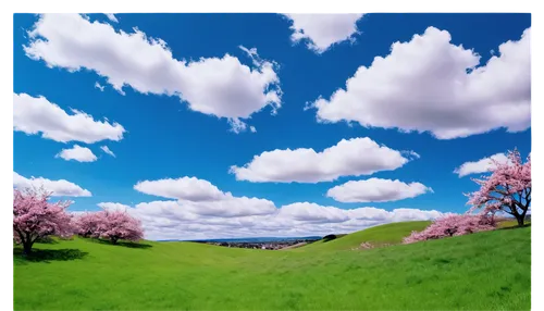 japanese sakura background,sakura background,landscape background,virtual landscape,springtime background,spring background,3d background,cartoon video game background,nature background,blue sky clouds,sakura trees,blooming field,meadow landscape,blue sky and clouds,photosphere,blue sky and white clouds,sky,skyscape,background view nature,cloudstreet,Illustration,Realistic Fantasy,Realistic Fantasy 24