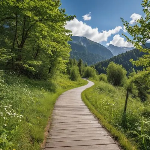 hiking path,aaaa,wooden path,pathway,tree lined path,nature background,aaa,background view nature,wooden bridge,nature wallpaper,forest path,the mystical path,green landscape,wooden track,landscape background,canton of glarus,germany forest,carpathians,the way of nature,nature landscape,Photography,General,Realistic