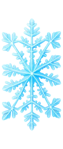 snowflake background,christmas snowflake banner,weather icon,snow flake,blue snowflake,snowflake,white snowflake,snowflakes,ice crystal,winter background,wreath vector,icemaker,christmas snowy background,gold foil snowflake,fire flakes,snow shovel,treemsnow,summer snowflake,flakes,christmas motif,Illustration,Children,Children 03