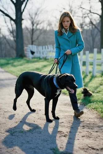 boykin spaniel,sussex spaniel,chesapeake bay retriever,flat-coated retriever,overcoat,pont-audemer spaniel,long coat,hanover hound,walking dogs,dog walker,piasecki hup retriever,pet vitamins & supplements,field spaniel,girl with dog,dog walking,companion dog,woman in menswear,trench coat,dog training,afghan hound,Photography,Black and white photography,Black and White Photography 06