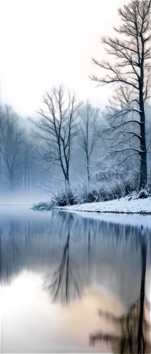 winter landscape,winter lake,ice landscape,wintry,frozen lake,snow landscape,winter forest,snowy landscape,winter magic,winter dream,reeds wintry,winter background,winterland,winter tree,winter morning,hoarfrost,midwinter,frostiness,tarn,thawed,Art,Artistic Painting,Artistic Painting 51