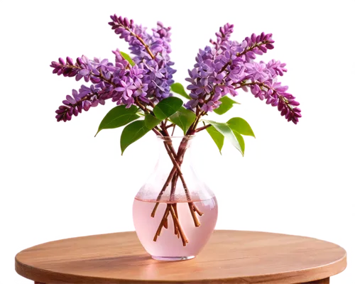 wisteria shelf,small-leaf lilac,soprano lilac spoon,lilacs,flower vase,wooden flower pot,ikebana,syringa,flowers png,common lilac,flower arrangement lying,plectranthus,astilbe,lilas,limonium,basket with flowers,flower arrangement,floral arrangement,lilac bouquet,flower bowl,Illustration,Japanese style,Japanese Style 02