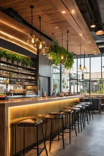 wine bar,gastropub,barleycorn,bar stools,liquor bar,bar counter,brewpub,zwilling,blythswood,enoteca,woodvine,barrelhouse,grassian,andaz,piano bar,brasseries,greenhaus,brasserie,taillevent,bellocq,Illustration,American Style,American Style 13