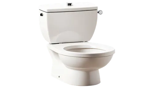 toilet,toilet seat,toilet table,urinal,commodes,latrine,bidet,banyo,lavatory,disabled toilet,potty,toileting,toilets,crapper,urinate,wc,washlet,loo,lavatories,defecate,Photography,Documentary Photography,Documentary Photography 34