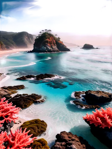 Surreal ocean scene, dreamy atmosphere, vibrant turquoise water, foamy waves, coral reef, seaweed-covered rocks, shimmering sunlight, misty fog, soft focus, warm color tone, cinematic composition, 3/4