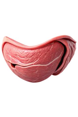 Stomach growl sound effect, close-up shot, dark background, realistic stomach anatomy, 3D modeled internal organs, rumbling sounds, low frequency vibrations, echoey atmosphere, cinematic audio design,