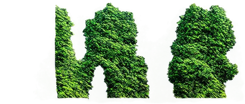 cypresses,huana,green trees,arborvitae,evergreen trees,green trees with water,afforestation,green forest,sgreen,reforestation,greeniaus,greentech,evergreens,green wallpaper,herbed,green plants,spruces,forestation,chlorophyll,spruce trees,Illustration,Paper based,Paper Based 10