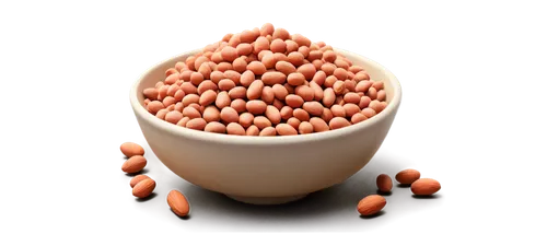 fregula,legume,kernels,cowpea,lentils,java beans,kidney beans,pine nuts,monocotyledon,small cloves,sorghum,soybean,soybeans,common bean,baked beans,unshelled almonds,pine nut,cocoa beans,beans,legume family,Illustration,Realistic Fantasy,Realistic Fantasy 44