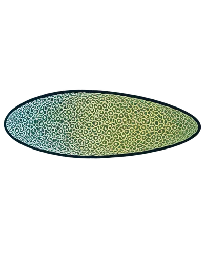 diatom,chloropaschia,ellipsoid,water lily plate,magnolia leaf,pointwise,water lily leaf,generative,lotus leaf,ellipsoids,semicircles,leaf structure,ellipsometry,fan leaf,parameterized,microalgae,xylem,gradient mesh,tropical leaf,stomata,Illustration,Retro,Retro 26