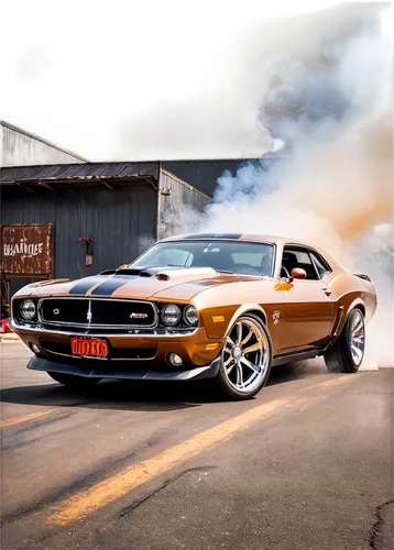 ford mustang,american muscle cars,muscle car,stang,mustang,mustang gt,fastback,dragstrip,burnout fire,burnouts,burnout,muscle car cartoon,shelby,mustangs,bullitt,garaged,american classic cars,mustang tails,american sportscar,fastbacks,Illustration,Realistic Fantasy,Realistic Fantasy 13